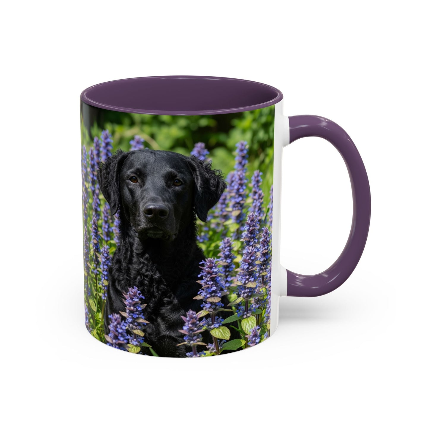 Curly Coated Retriever Accent Coffee Mug - Perfect Gift for