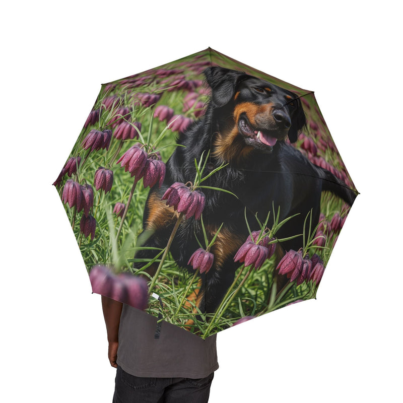 Wetterhoun Semi-Automatic Foldable Umbrella