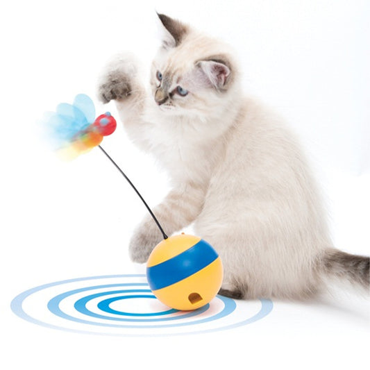 Cat playing with a colorful toy on a white background