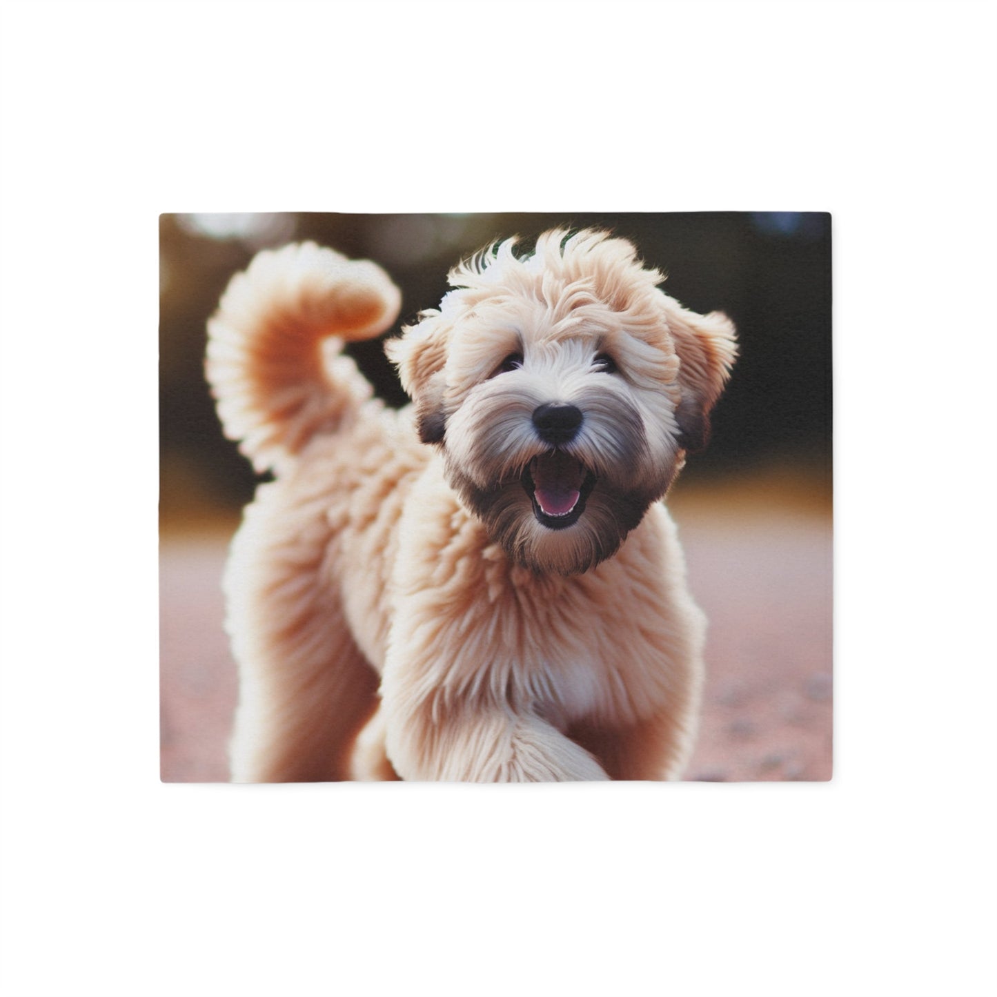 Soft Coated Wheaten Terrier Sweatshirt Blanket