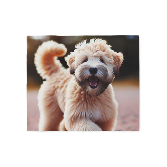 Soft Coated Wheaten Terrier Sweatshirt Blanket