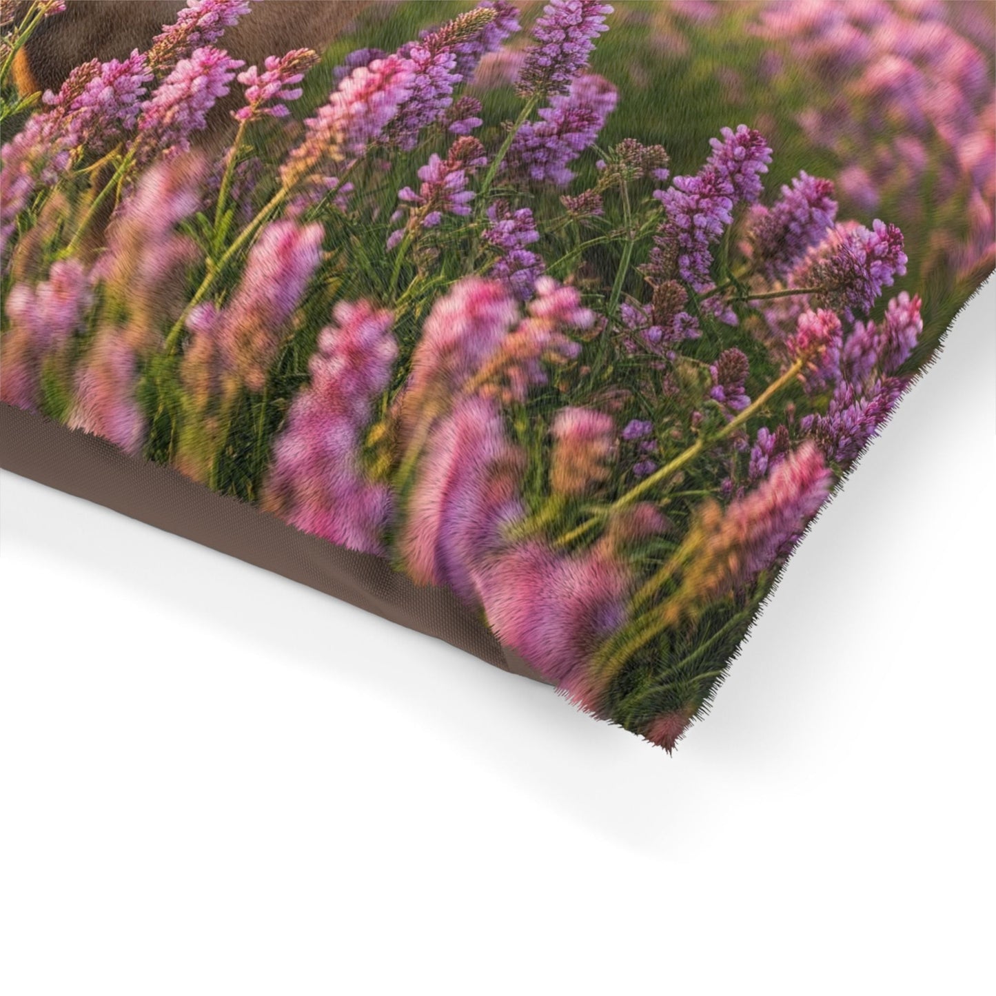 Cirneco dell’Etna Pet Bed