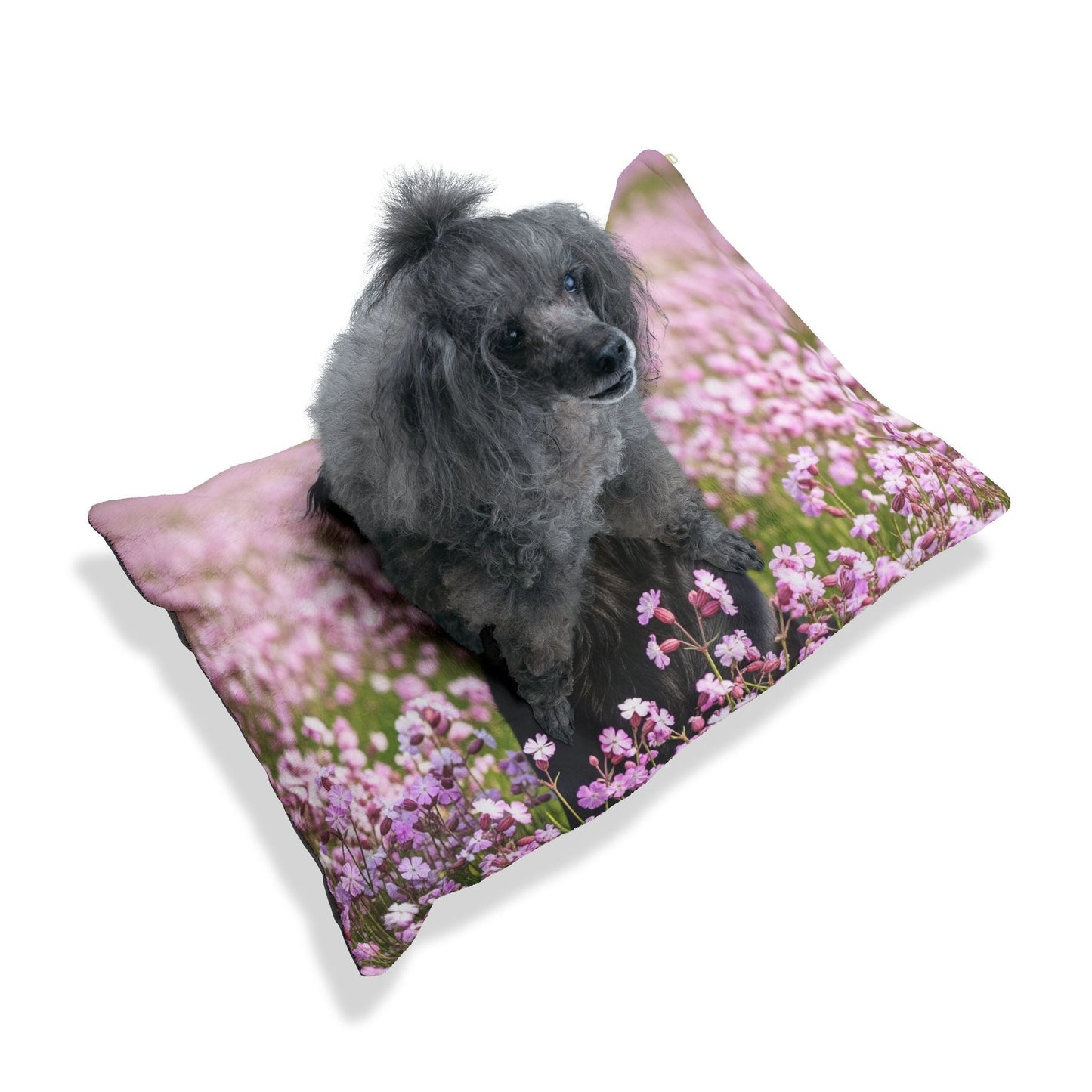 Flat Coated Retriever Pet Bed