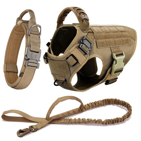 Large Dog Harness & Leash Set – Training Vest for Big Breeds