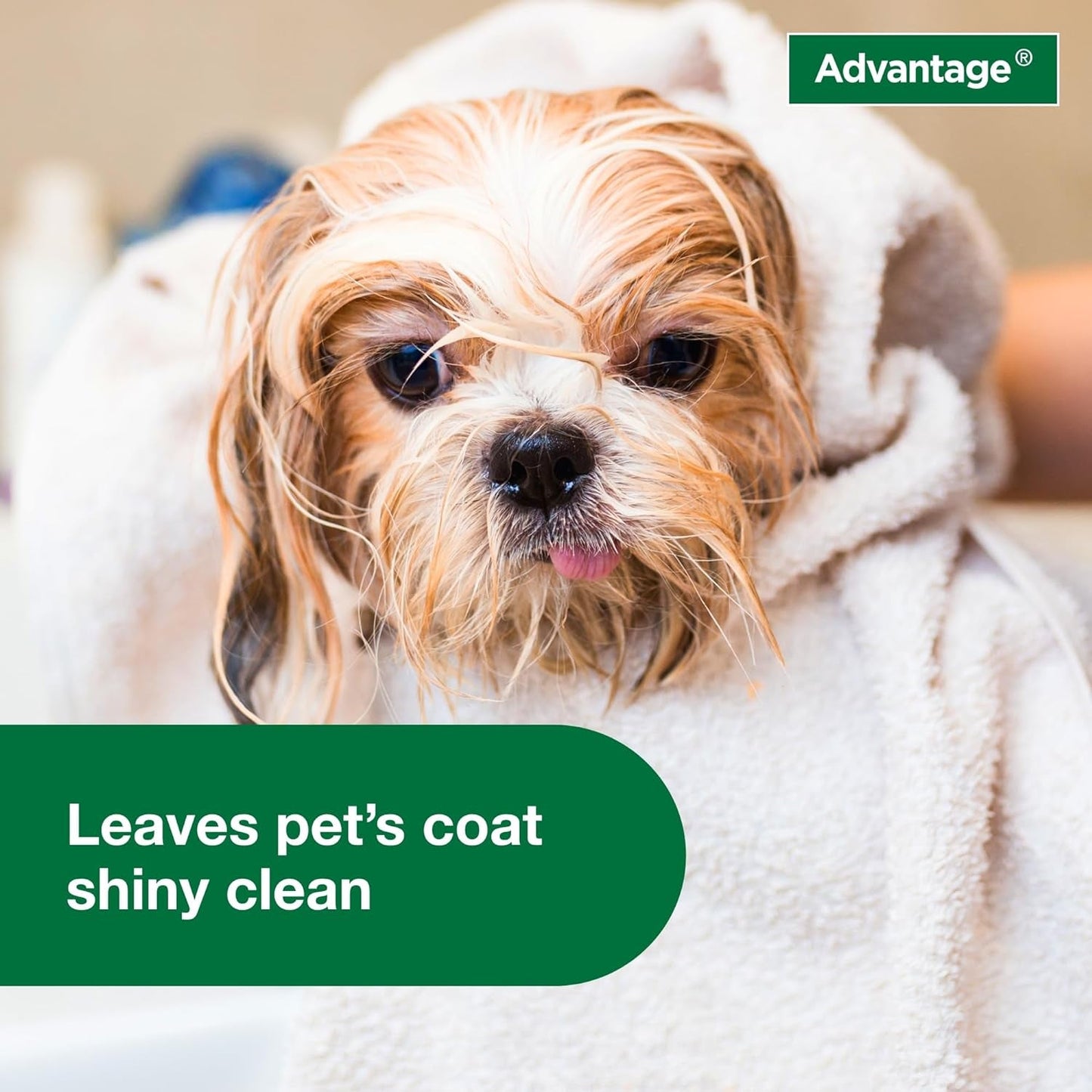Flea And Tick Shampoo Dogs Puppies 12 Oz 🛁