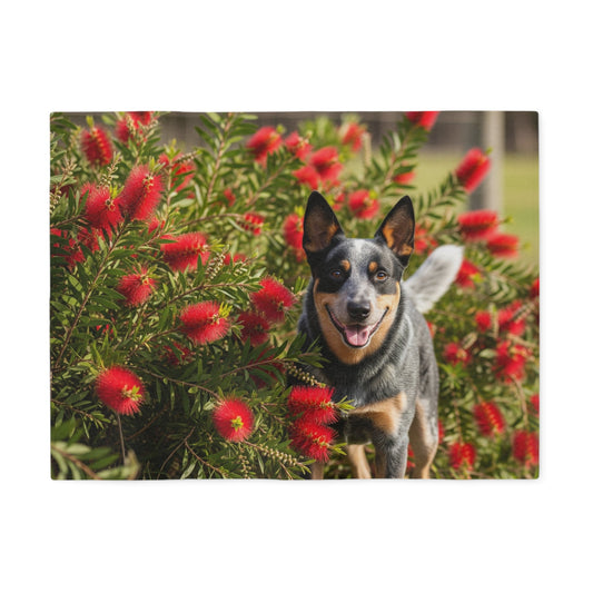 Australian Cattle Dog Sweatshirt Blanket