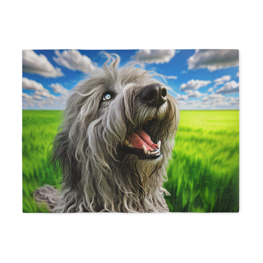 Bergamasco Shepherd Dog Sweatshirt Blanket
