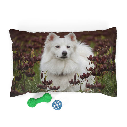 American Eskimo Dog Pet Bed