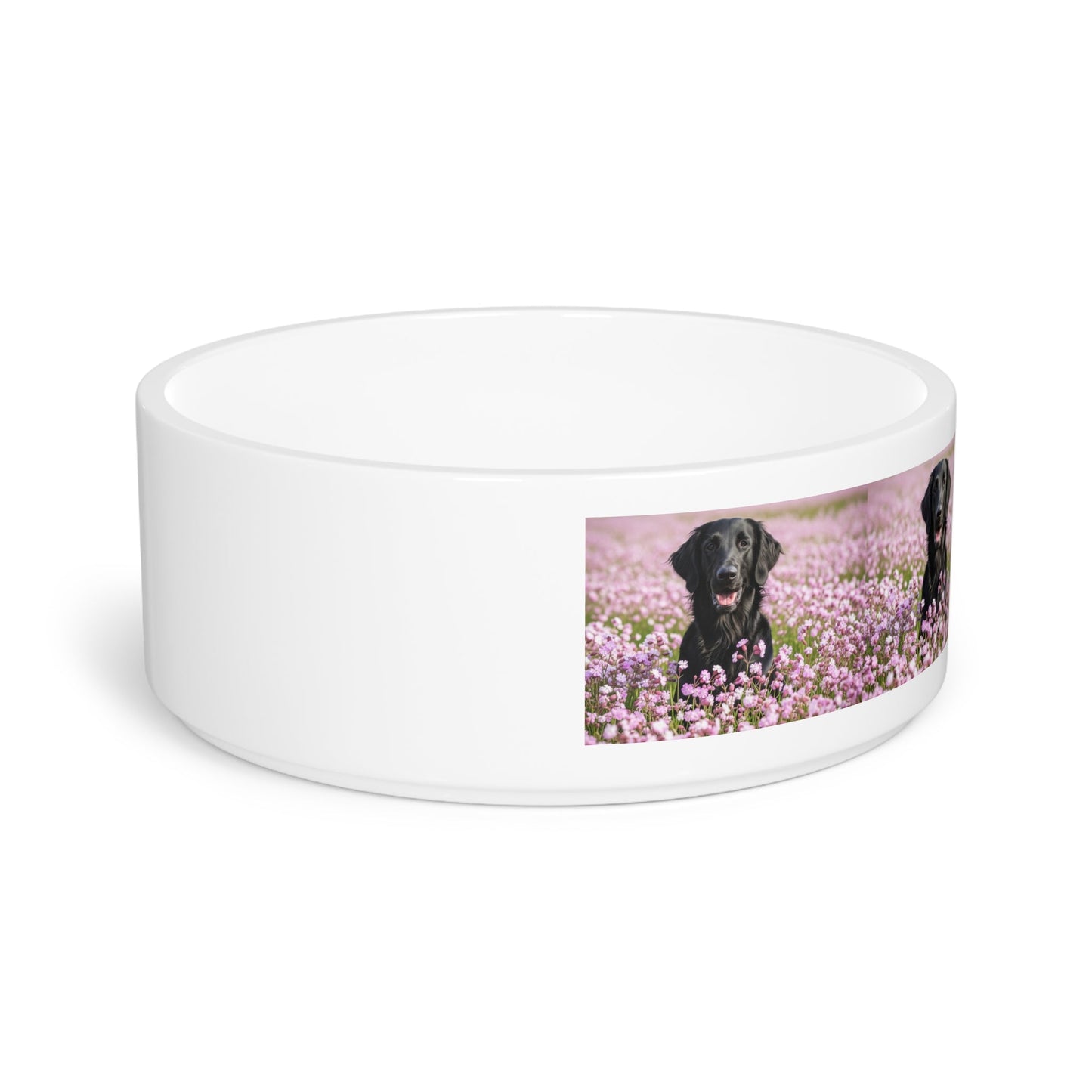 Flat Coated Retriever Pet Bowl