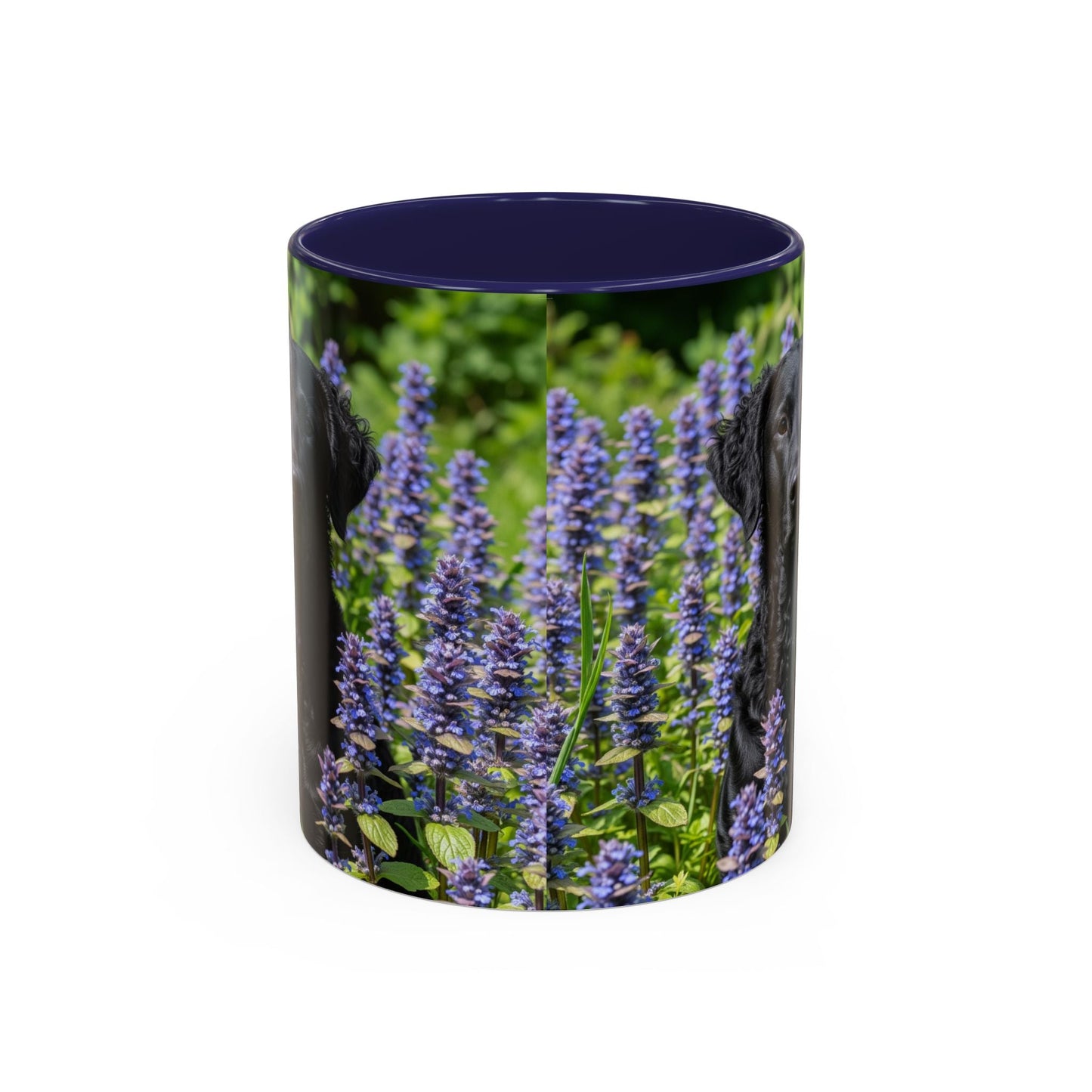 Curly Coated Retriever Accent Coffee Mug - Perfect Gift for