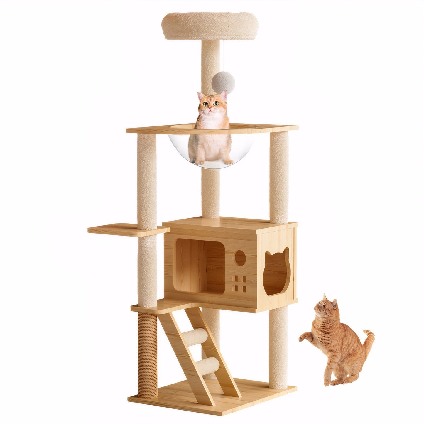 HouseOfZazla 48.8' wooden cat tower with levels, clear bowl hammock, and condo. Two orange cats shown using it.