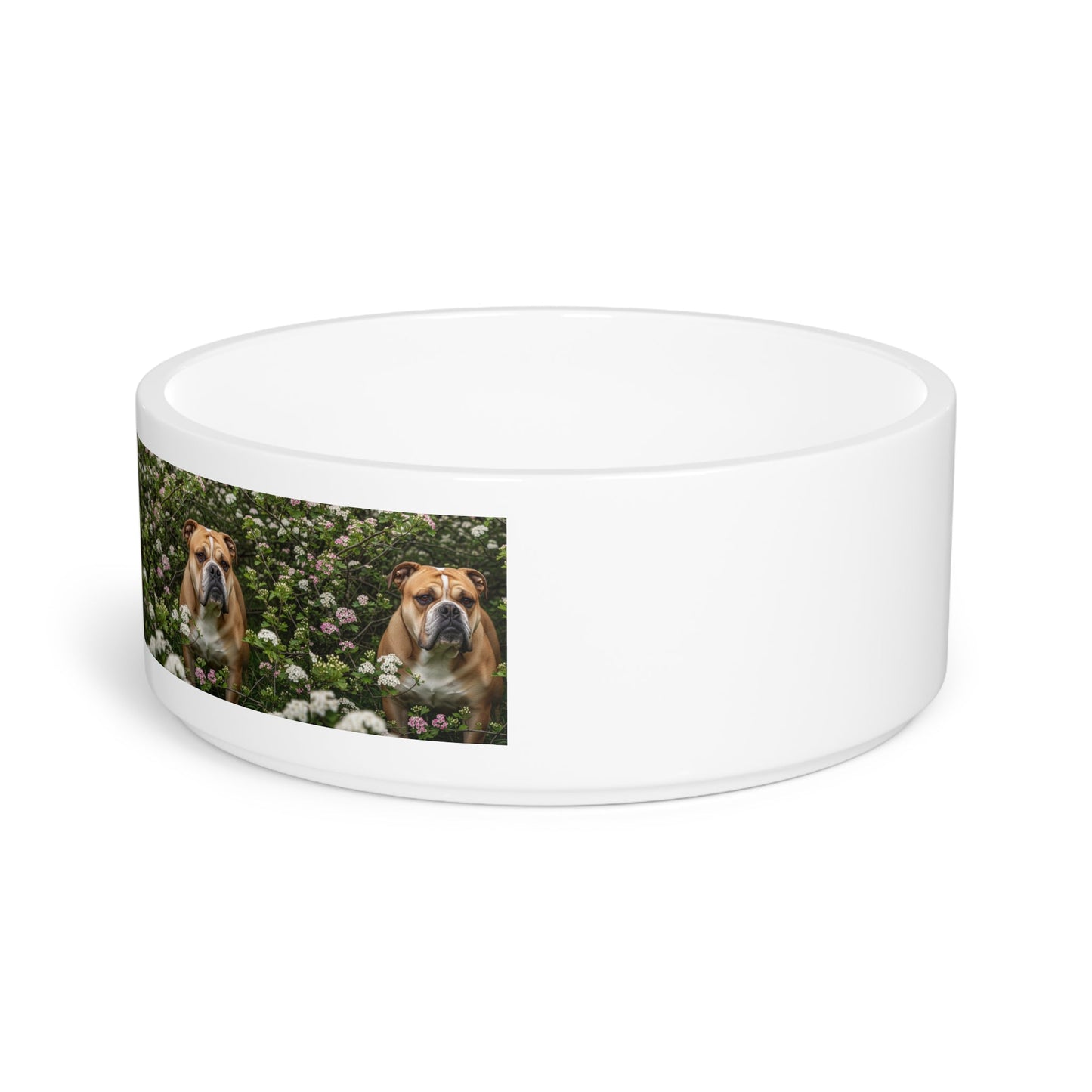 Olde English Bulldogge Pet Bowl