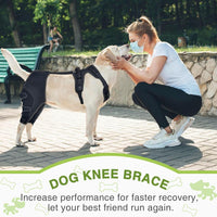 Pet Leg Support Dog Knee Brace Post-Surgery Rehabilitation