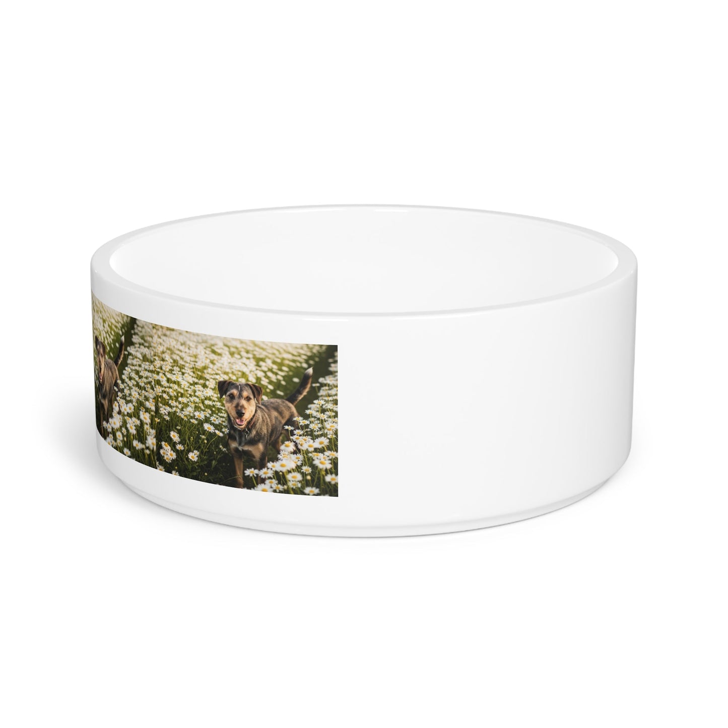 Danish-Swedish Farmdog Pet Bowl