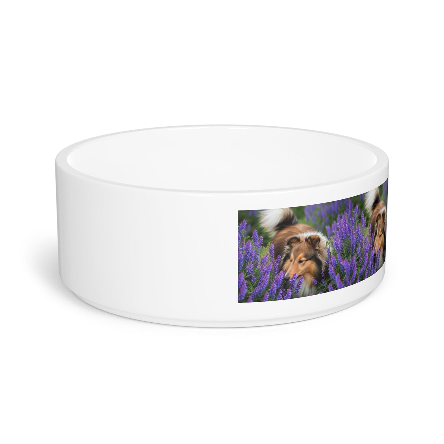 Shetland Sheepdog Pet Bowl