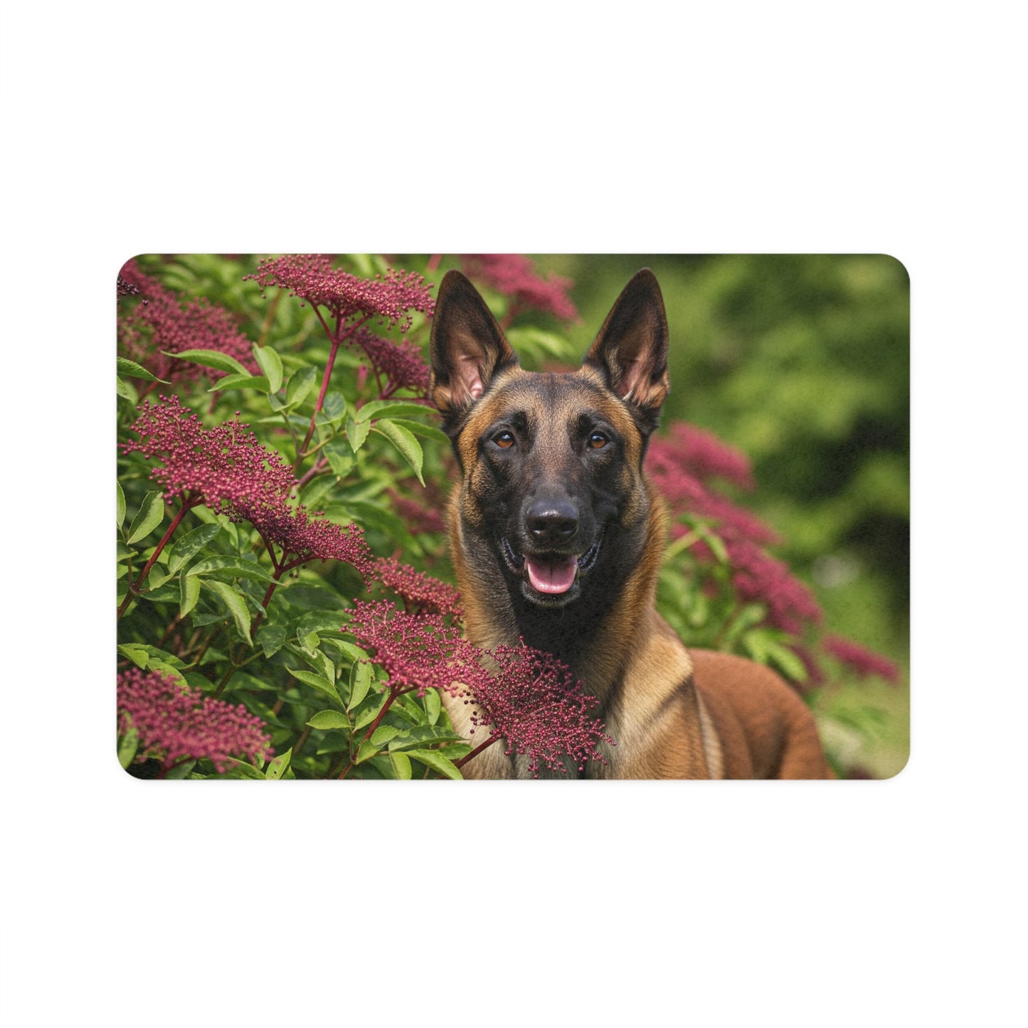 Pet Food Mat (12x18) - Belgian Shepherd Dog Malinois