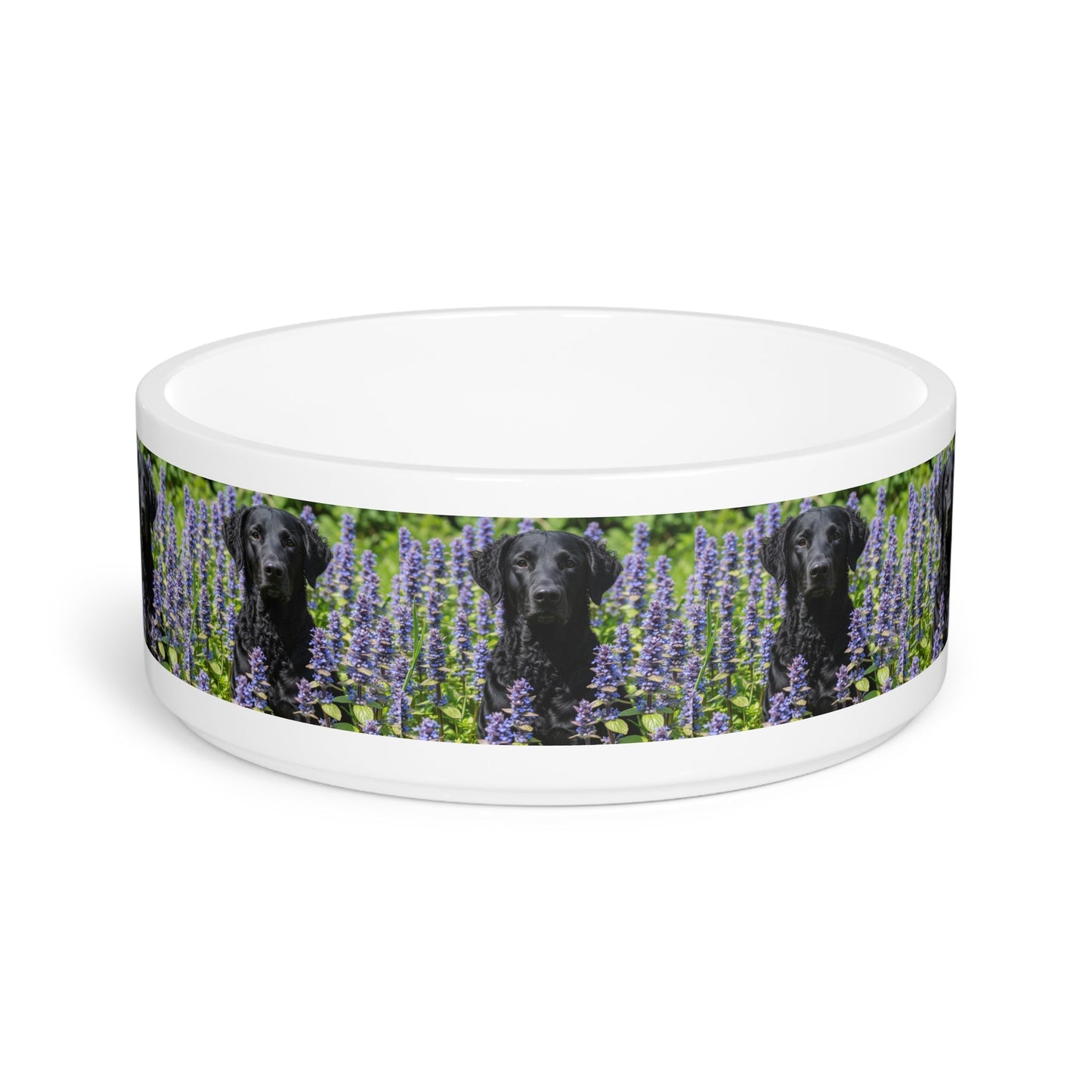 Curly Coated Retriever Pet Bowl