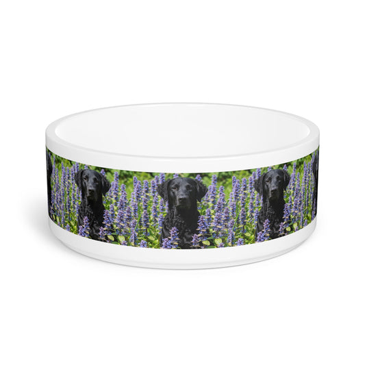 Curly Coated Retriever Pet Bowl