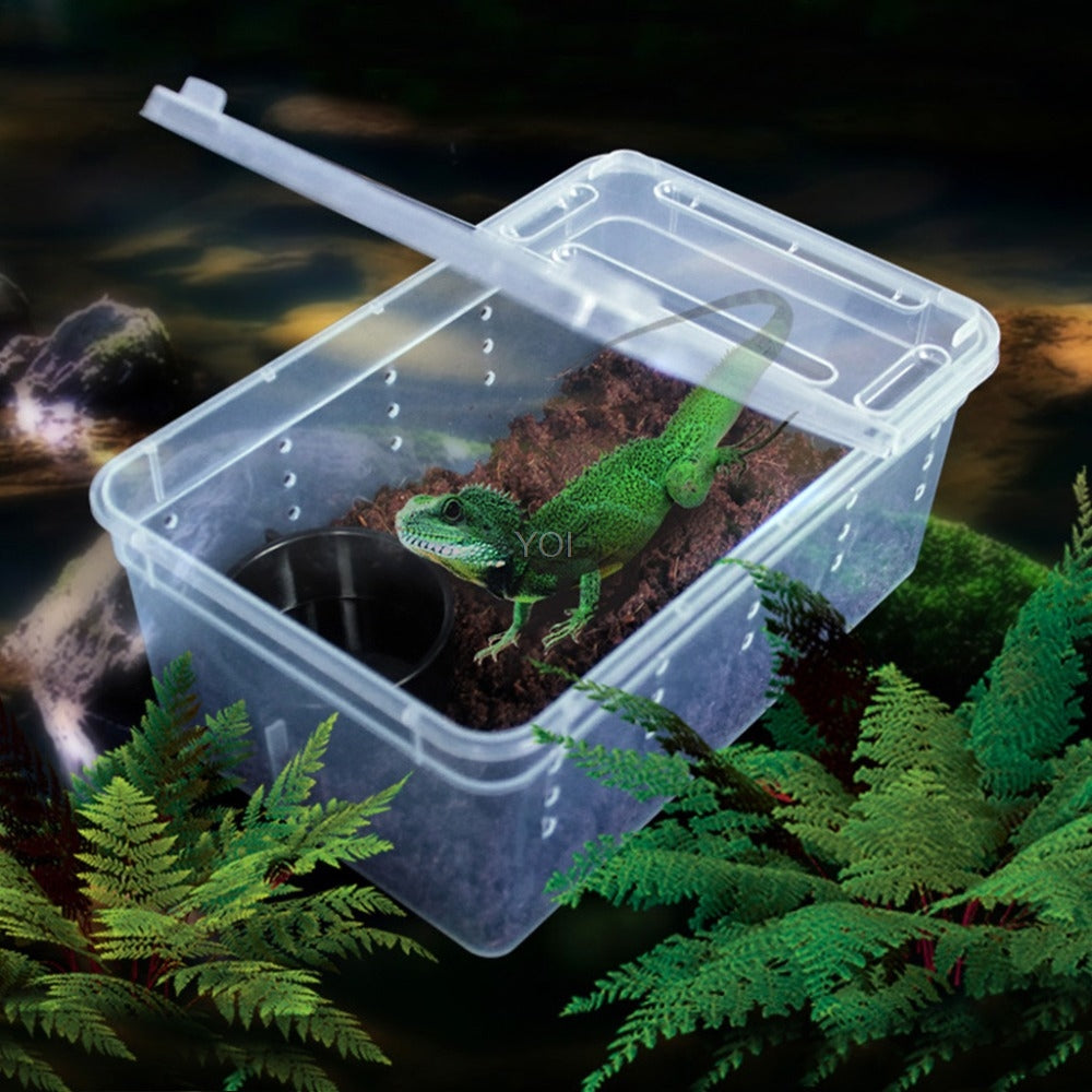 Reptile Feeding Box - Transparent Plastic Habitat Tank