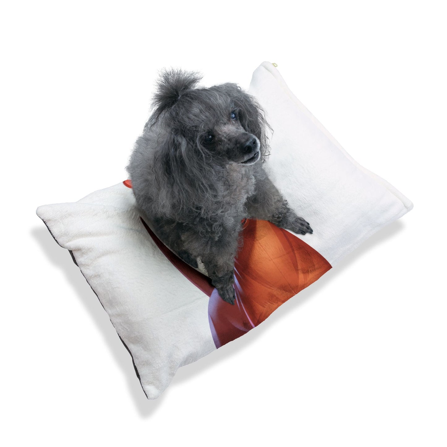 Cirneco dell'Etna Pet Bed