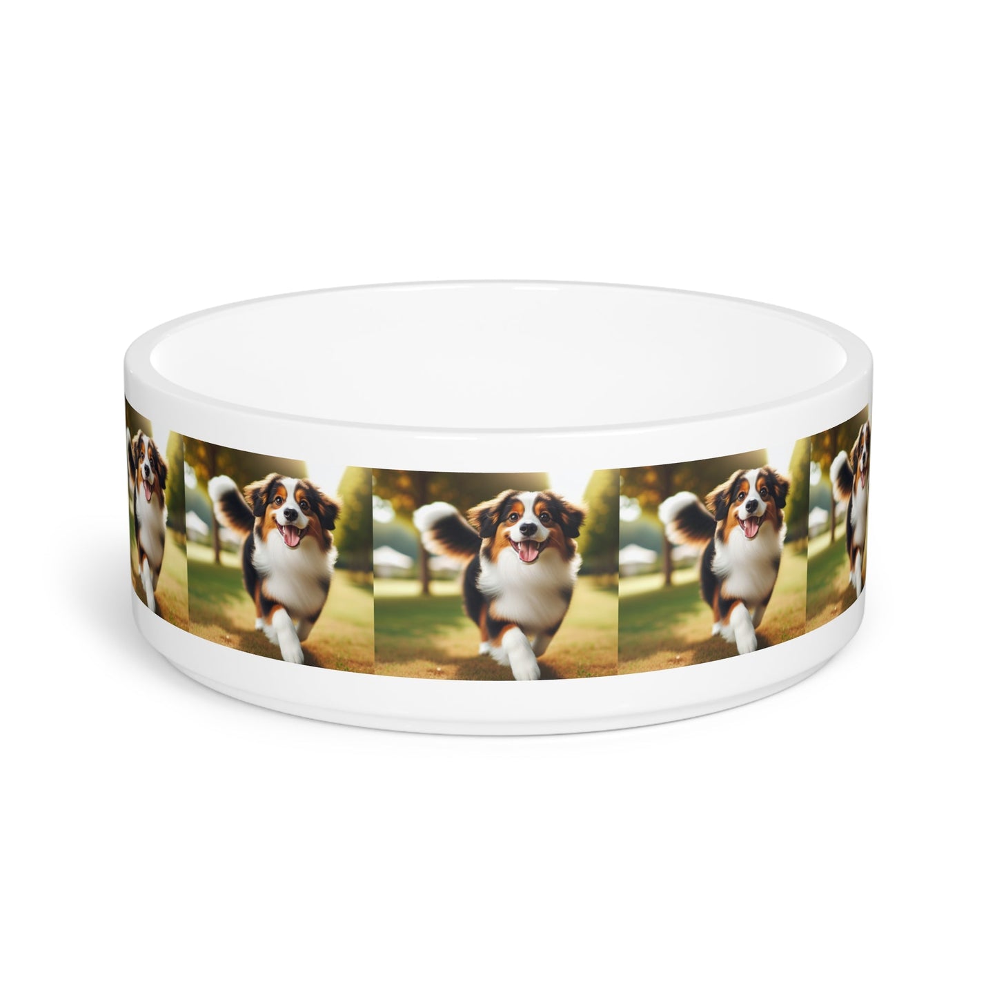 Miniature American Shepherd Dog Pet Bowl