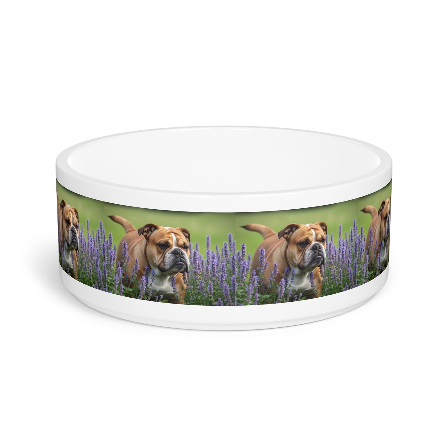 British Bulldog Pet Bowl