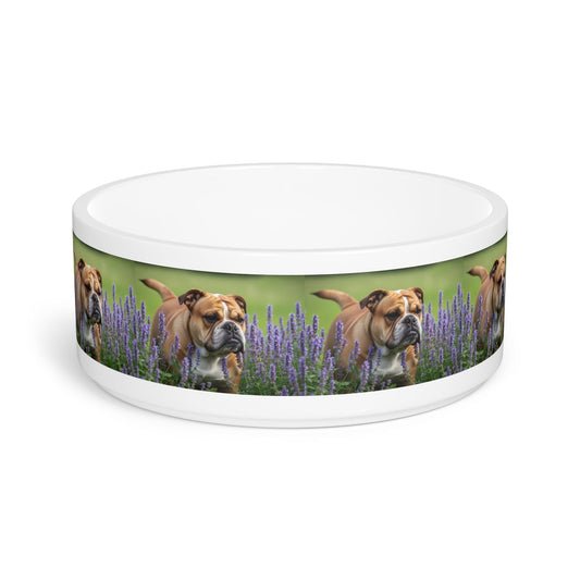 British Bulldog Pet Bowl