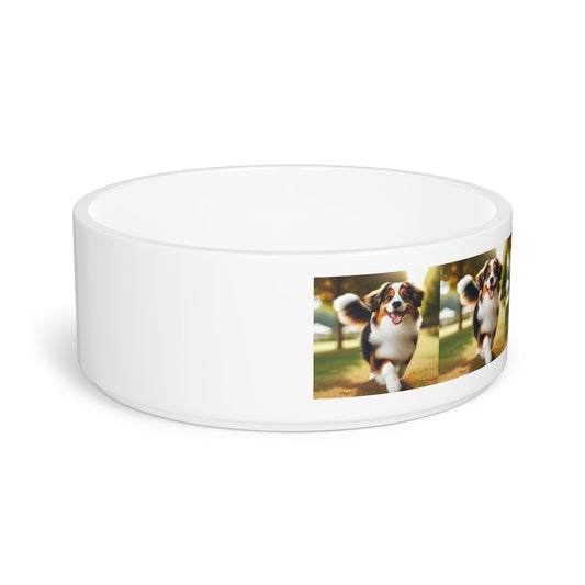 Miniature American Shepherd Dog Pet Bowl