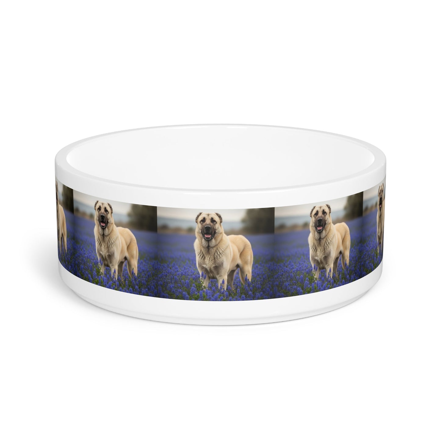 Kangal Shepherd Dog Pet Bowl