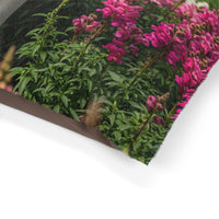 Estrela Mountain Dog Pet Bed