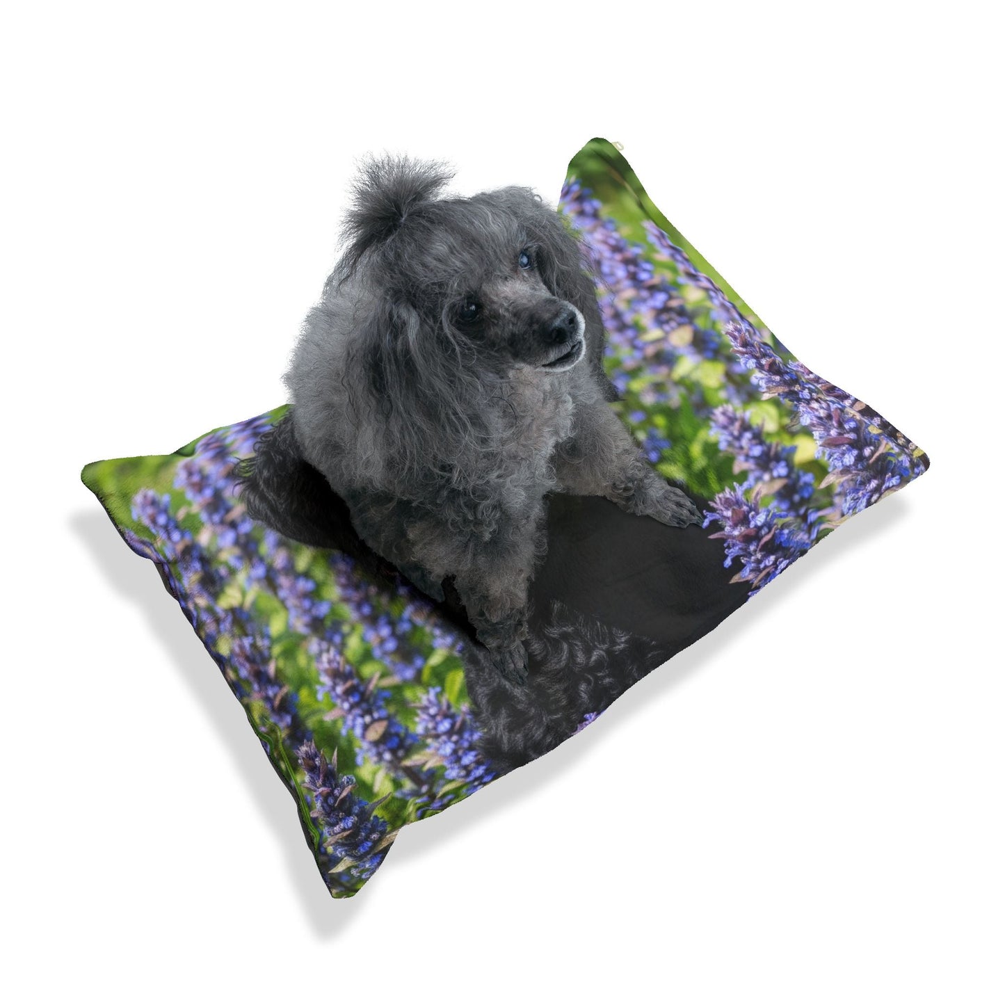 Curly Coated Retriever Pet Bed