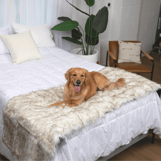PupProtector™ Waterproof Bed Runner - White with Brown