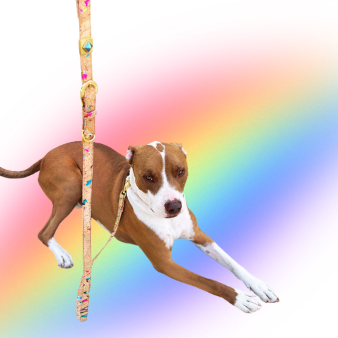 Rainbow Pride Cork Leather Leash - Purrfect Pet Kingdom