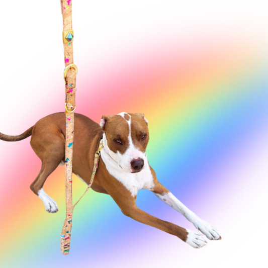 Rainbow Pride Cork Leather Leash - Purrfect Pet Kingdom