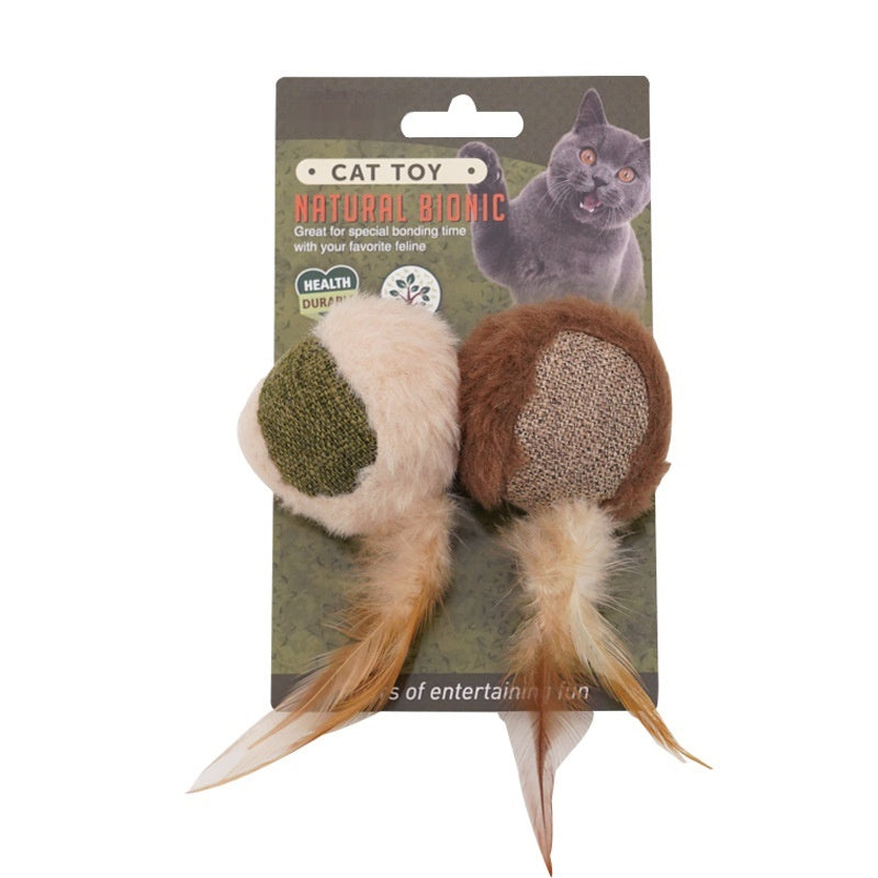 Cat Self-Entertainment Mint Feather Catnip Teething Stick