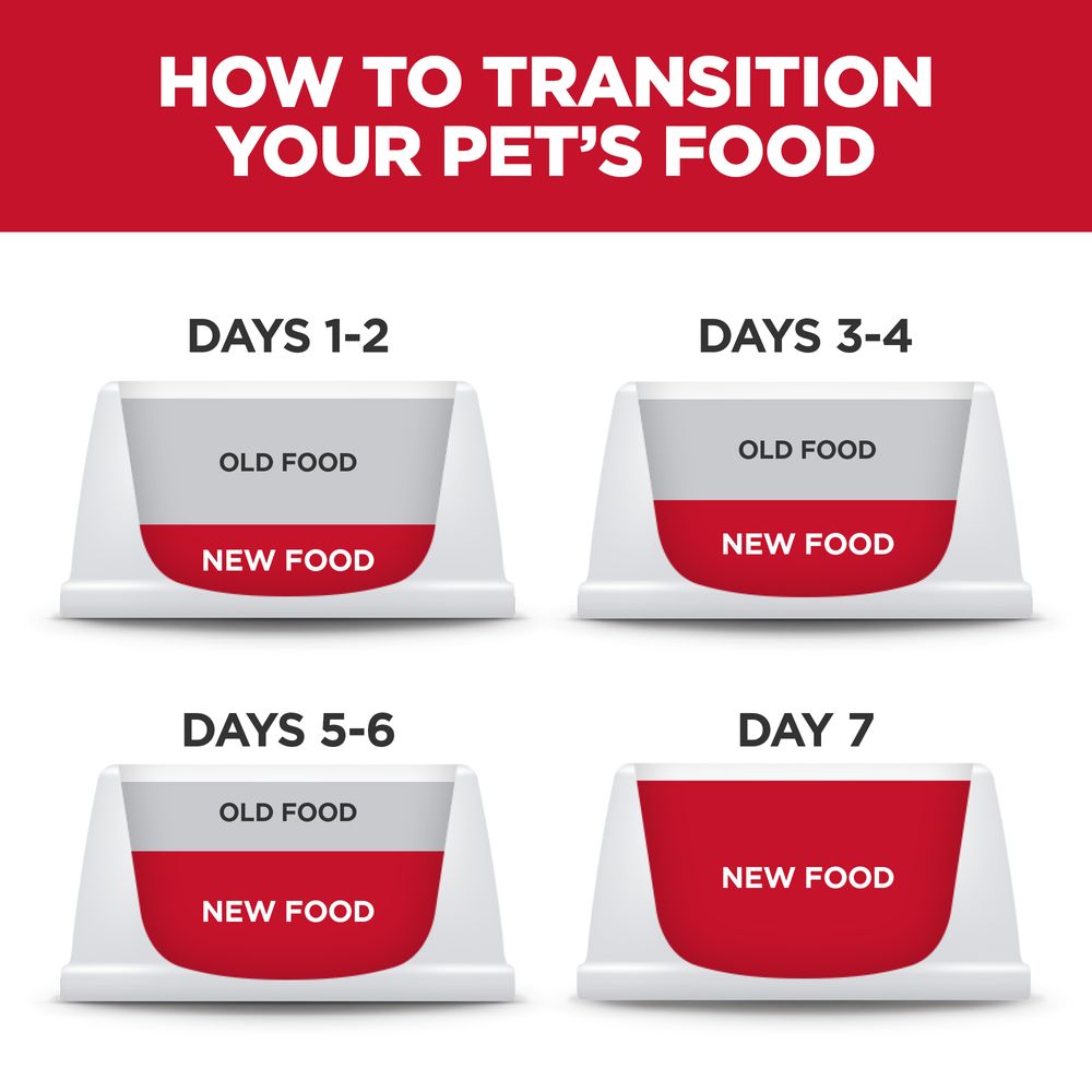 Hill's Science Diet Adult Sensitive Stomach & Skin Small & Mini Chicken Recipe Dry Dog Food Bag - Science Diet Dry Dog Food - The Family Pet