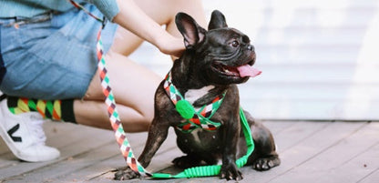 Shaped Chest Strap Can Protect The Tracheal Vest Type Pet