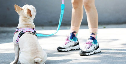 Shaped Chest Strap Can Protect The Tracheal Vest Type Pet