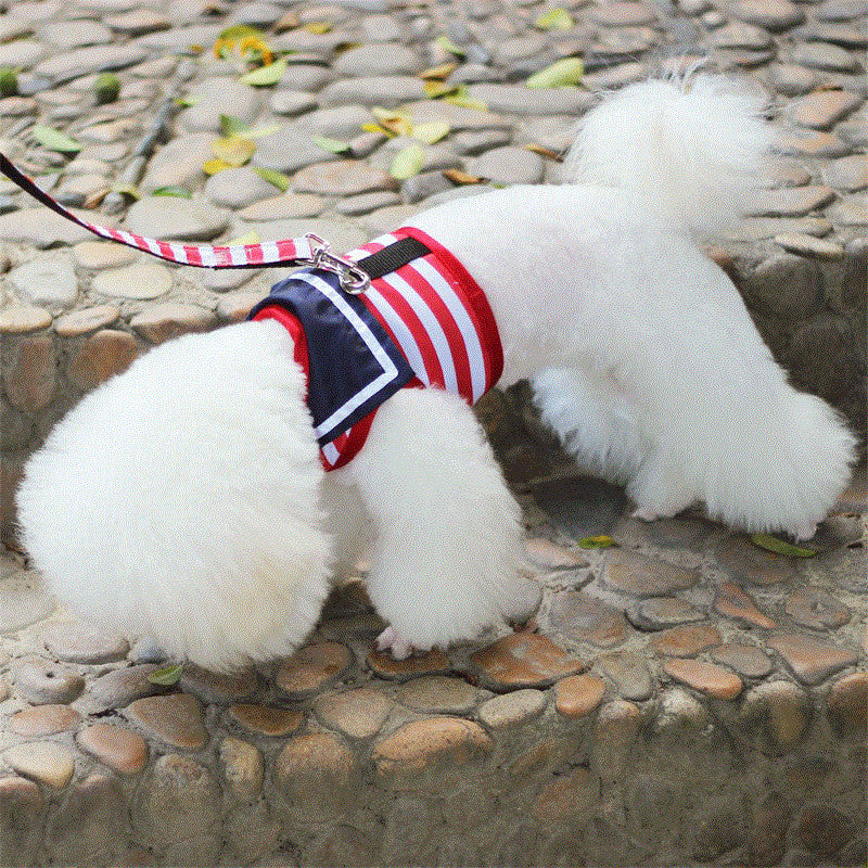 Pet VIP Chest Strap Set