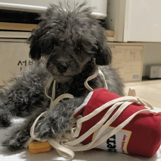 Korea Ramen Sniffing Interactive Foreign Trade Factory