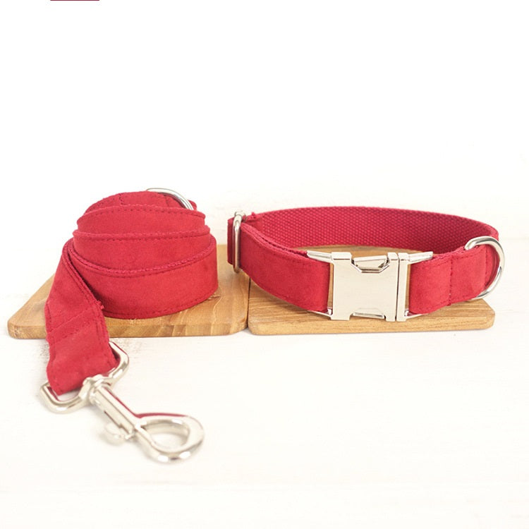 Pet Traction Dog Collar Adjustable Dog Walking Gear Premium