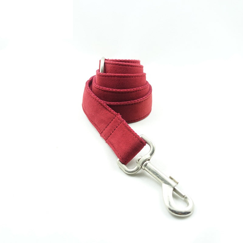 Pet Traction Dog Collar Adjustable Dog Walking Gear Premium
