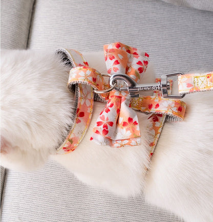 Japanese Butterfly Vest Traction Rope Nylon Webbing Cat