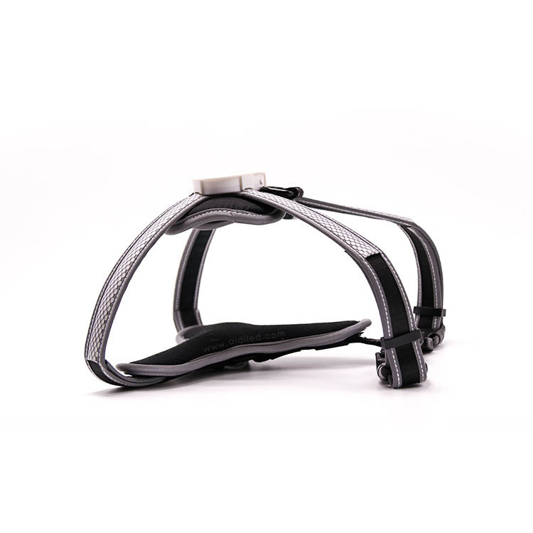 LED Dog Chest Strap Retractable Traction Rope