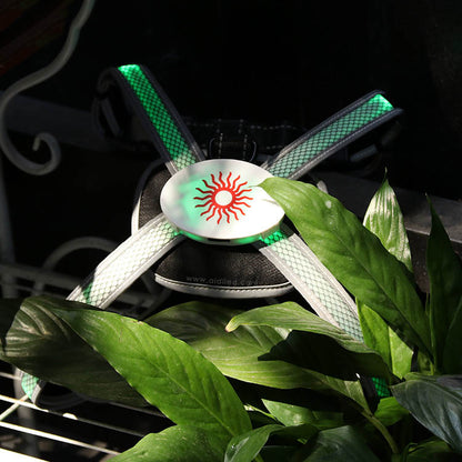 LED Dog Chest Strap Retractable Traction Rope