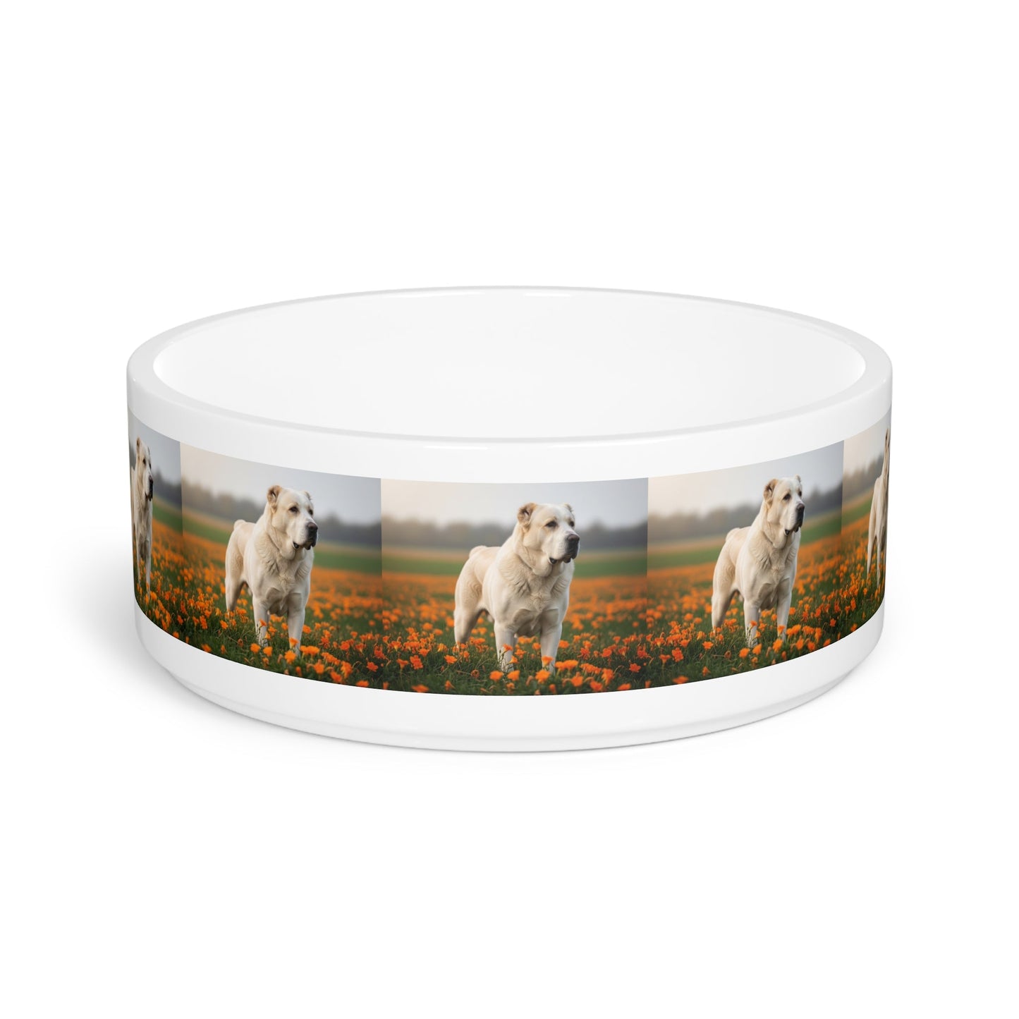 Central Asian Shepherd Dog Pet Bowl