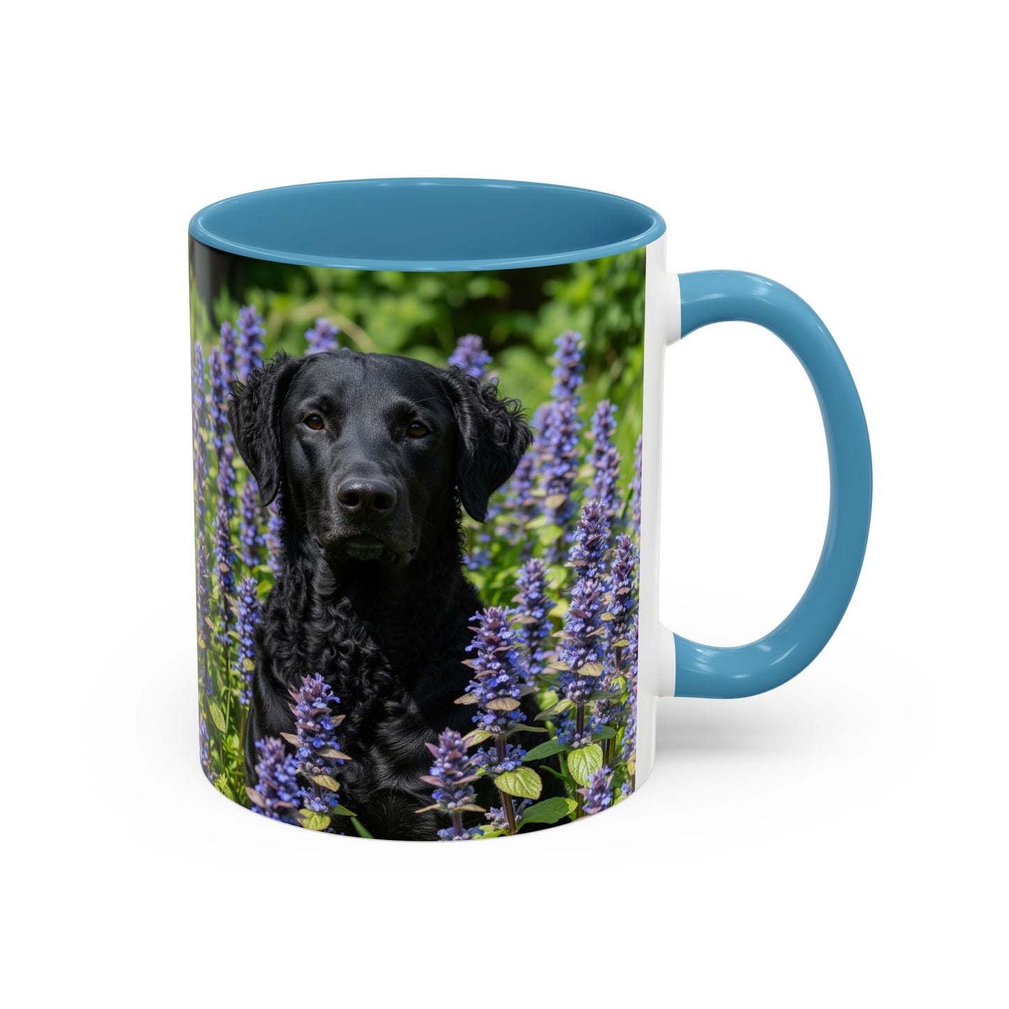 Curly Coated Retriever Accent Coffee Mug - Perfect Gift for