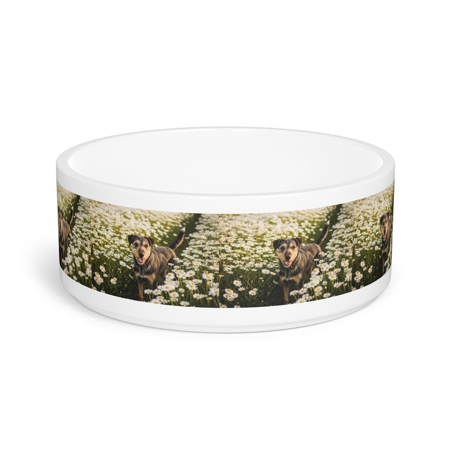 Danish-Swedish Farmdog Pet Bowl