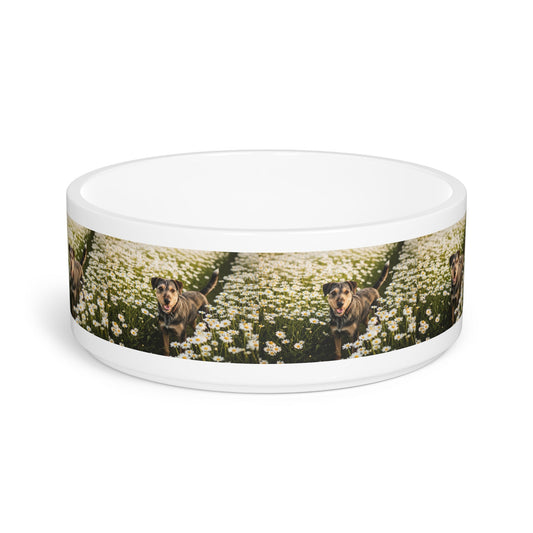 Danish-Swedish Farmdog Pet Bowl