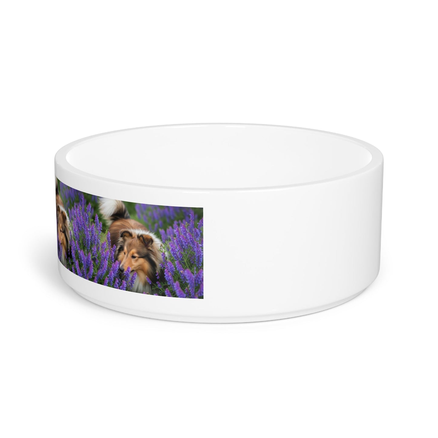 Shetland Sheepdog Pet Bowl